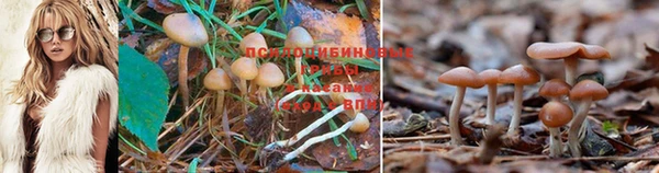 дистиллят марихуана Арсеньев