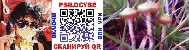 наркотики Темрюк Галлюциногенные грибы Psilocybine cubensis