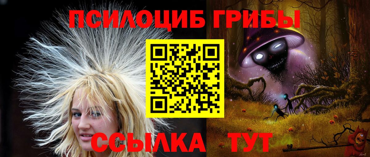 Псилоцибиновые грибы прущие грибы Темрюк