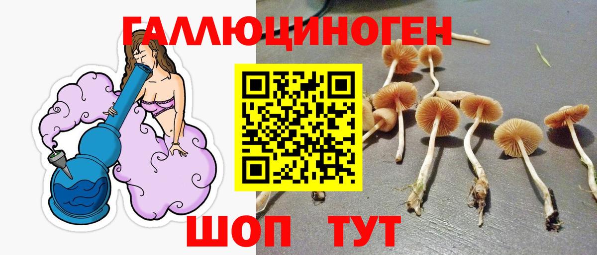 Псилоцибиновые грибы мицелий  Вход с VPN  Темрюк 